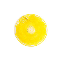 Load image into Gallery viewer, Platon Amarillo Diseño de Limones
